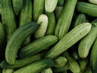 Fresh green cucumbers sold at the local market