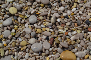 Little wet pebble on the beach