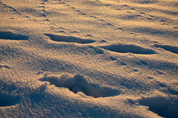 Spuren im Schnee bei Sonnenuntergang