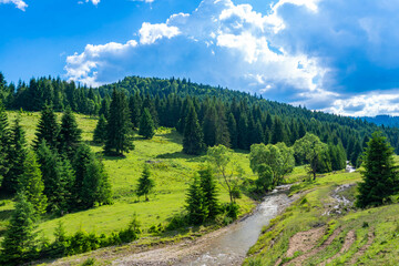 Fototapeta premium Scenic landscape, small river flowing in the valley, beautiful blue sky with white clouds in the backgroound.