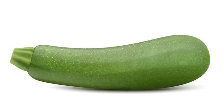 Fresh raw vegetable marrow zucchini isolated on a white background. Realistic 3d vector illustration. Can be used for advertising, packaging, banner, print, web design