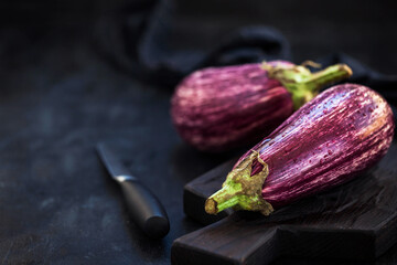 Raw fresh striped eggplants, dark background, rustic style, selective focus
