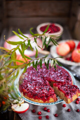 Cranberry upside-down cake on rustic background