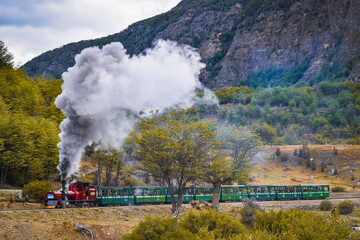 Fototapeta na wymiar Patagonia Ushuaia Tren Fin del Mundo