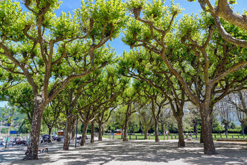 Parc arboré à Aix-les-Bains