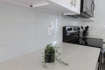 white back spash in a modern kitchen house davenport florida white and black decor minimalism 