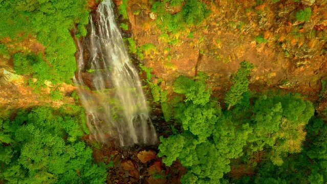Morans Falls in Lamington National Park on the Lamington Plateau of the McPherson Range on the Queensland New South Wales border in Australia, natural rainforest view to high waterfalls.