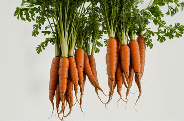 Closeup of a bunch of fresh carrots over a light background