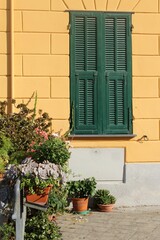 Fototapeta na wymiar Wunderschöne Mittelmeergewächse an einer Hauswand in einem ligurischen Dorf. Italien.