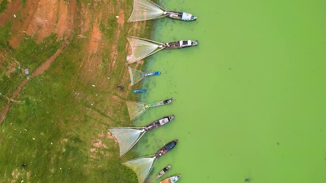 Aerial view of Ben Nom fishing village, a brilliant, fresh, green image of the green algae season on Tri An lake, with many traditional fishing boats anchored.