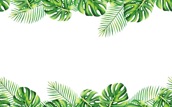 Watercolor seamless border with realistic tropical leafs. Illustration of monstera, caladium , ficus leafs isolated on white background. Beautiful botanical hand painted floral elements. For designer