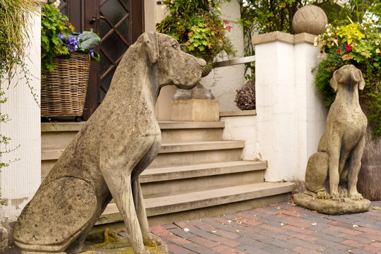 Stone dogs. Original garden decor. Animal figures in landscape design.