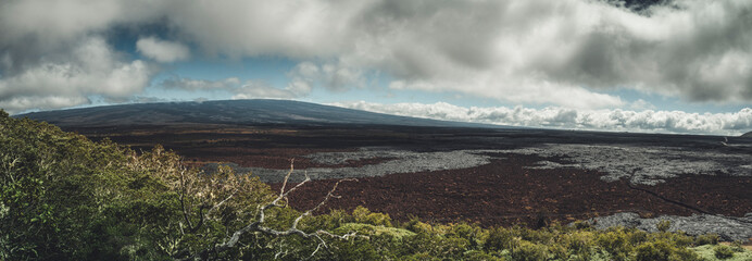 Panoramic view of the Mauna Loa volcano and old lava fields