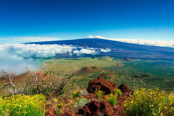 Vegetation and cinder cones around Mauna Loa volcano © Yggdrasill
