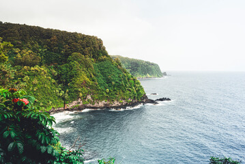 Naklejka premium Cliffs covered in jungle vegetation on the Shore of Maui