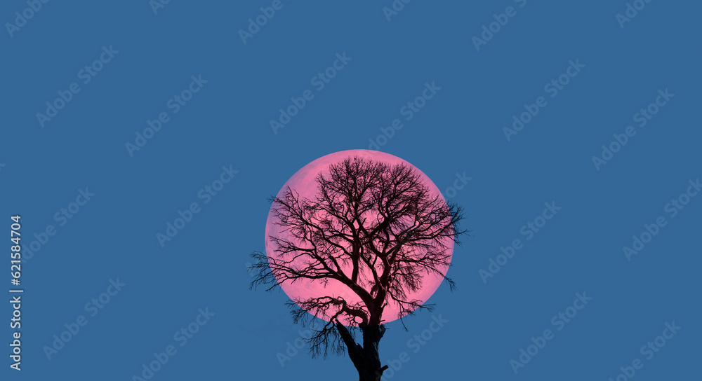 Poster lone dead tree with super full blue moon 
