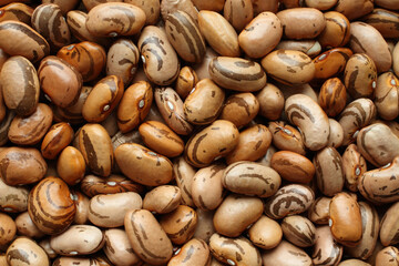 View from above on a pile of raw light orange, beige with brown speckled kidney beans. Closeup