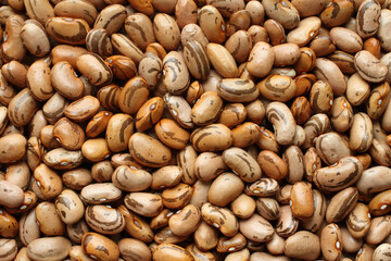 View from above on a pile of raw light orange, beige with brown speckled kidney beans. Closeup
