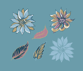 hand drawn flowers and leaves elements for designers