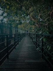 wooden bridge in the woods with Nature