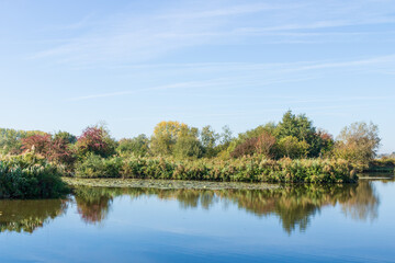 Fototapeta na wymiar Un des étangs de la Réserve Naturelle Nationale des Étangs du Romelaëre à Clairmarais