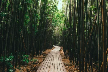 Fotobehang Path under a bamboo forest on the Pipiwai trail © Yggdrasill