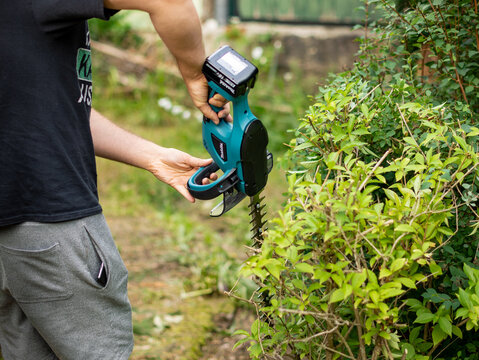DRESDEN, GERMANY - 27. June 2023: Using the cordless hedge trimmer of Makita for quiet garden work. Cutting the leaves and twigs with an electric machine that does not make a loud noise.