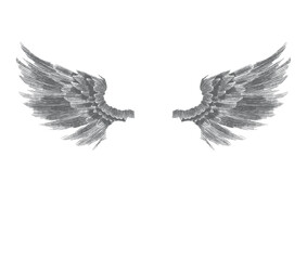 Obraz premium illustration of angel wings on transparent background