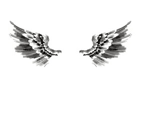 Illustration of clipart angel wings on transparent background 