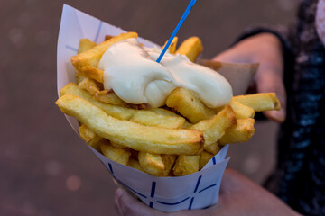 Netherlands, Delft, belgian potato fries with mayonnaise sauce