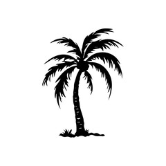 palm tree silhouette illustration 