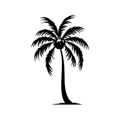 palm tree silhouette illustration 