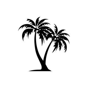 palm tree silhouette illustration 