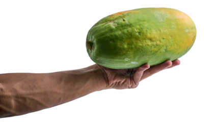 Hand-holding unripe papaya isolated on transparent background