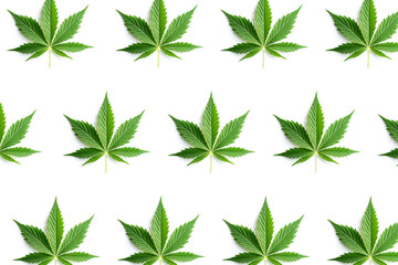 cannabis leaf pattern on a white background