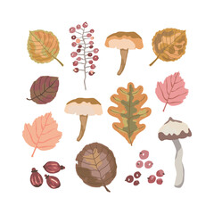 Set of forest life objects: mushrooms, leaves and berries. Watercolor effect hand drawn vector illustration. Autumn, fall.