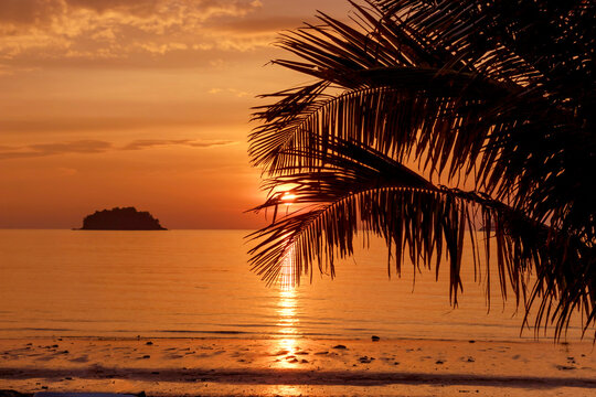 A bright sunset descending to the horizon, golden-red shades of a warm tropical evening by the sea.