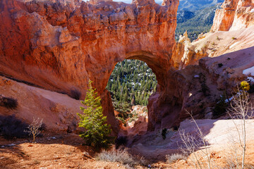 View of Natural Bridge in Bryce Canyon National Park in Utah during spring.
