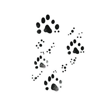  a cat's paw prints on a white background with a black cat's paw prints on the left side of the image and a black cat's paw prints on the right side of the left.  generative ai
