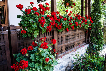 Pots of red geranium flowers on a porch.