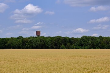 Getreidefeld mit Wasserturm im Hintergrund im Sommer