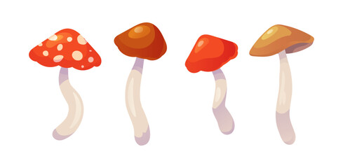 Beautiful vector mushrooms. Forest mushrooms fly agaric, grebe, porcini, boletus, honey mushrooms. - 621609596