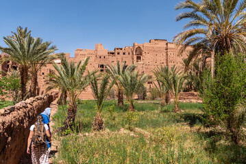 Farmland in front of the scenic berber village Tamenougalt in the Draa valley, a tourist being led...