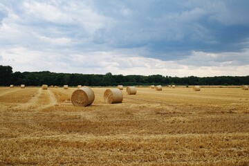 Fototapeta premium Panorama mit Stoppelfeld und Strohballen