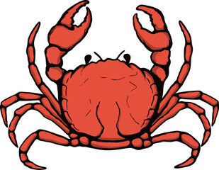 fresh seafood. Red crab seafood restaurant. Hand drawn crab illustration isolated on white background. Design element for logo, label, emblem, sign.