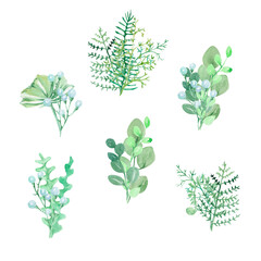 Watercolor tropical bouquet. Watercolor green plants. Watercolor floral elements isolated on white background.