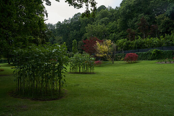 &nbsp;Valeggio sul Mincio, Italy - July 1, 2023 - the Parco Giardino Sigurta -Avenue of the Flowering Borders - Veneto region - Italy landmarks 