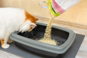 a person pours dry litter from a bag for a cat's litter box