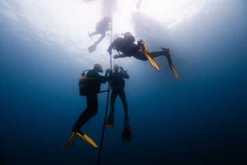 Unrecognizable divers in calm blue water