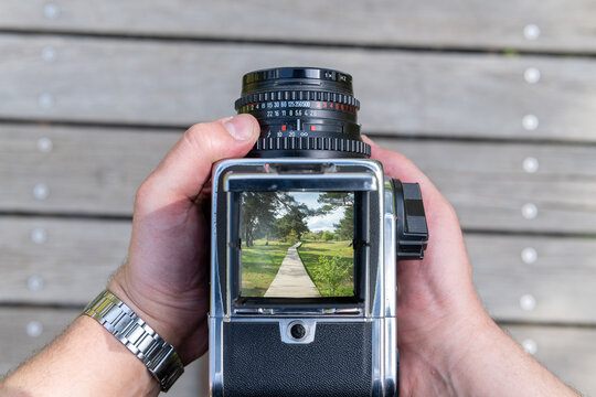 A man takes a photo of a path through nature with a vintage viewfinder camera. - Powered by Adobe